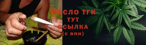 амф Верхний Тагил